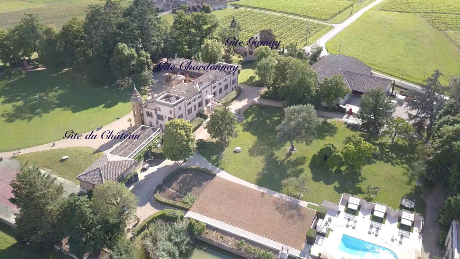 Chateau De Briante Saint-Lager エクステリア 写真