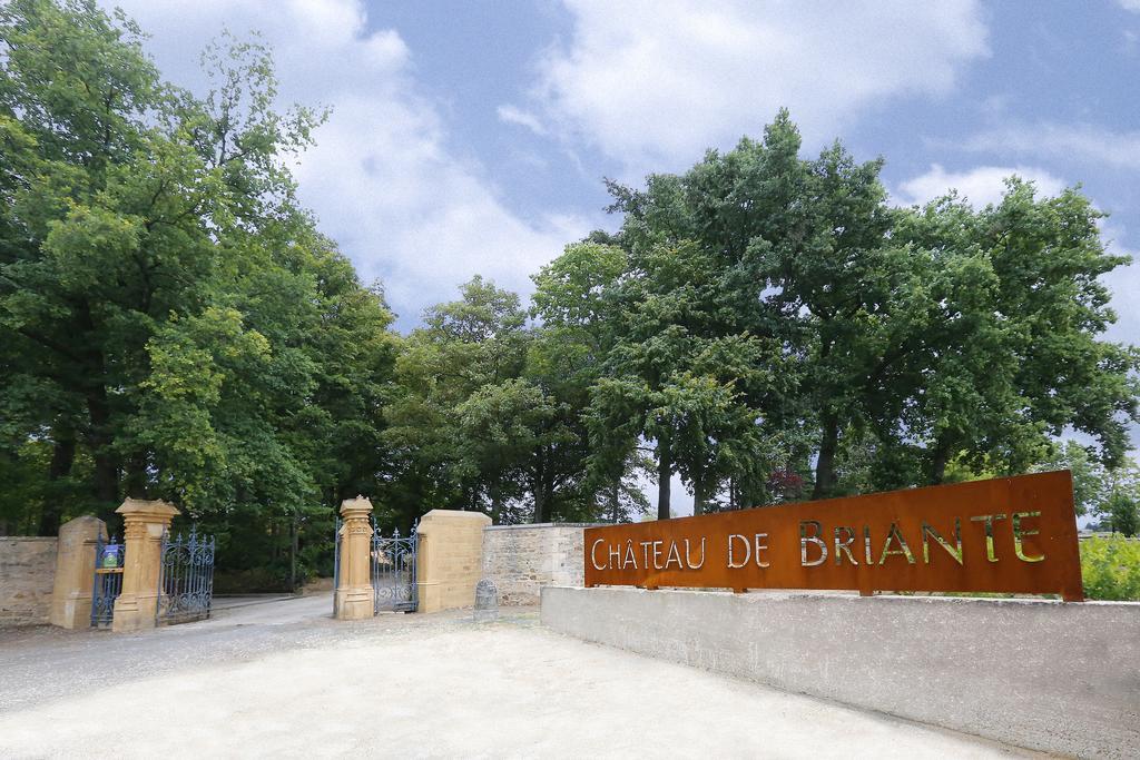 Chateau De Briante Saint-Lager エクステリア 写真